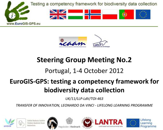 Steering Group Meeting No.2