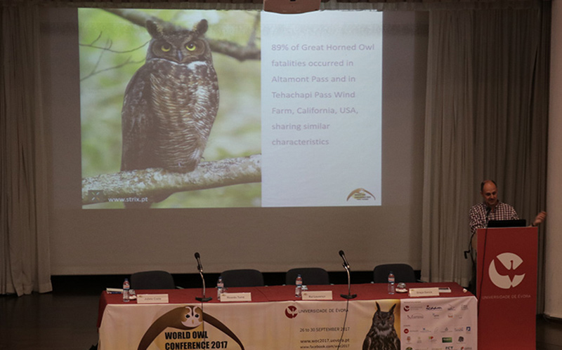 World Owl Conference 2017