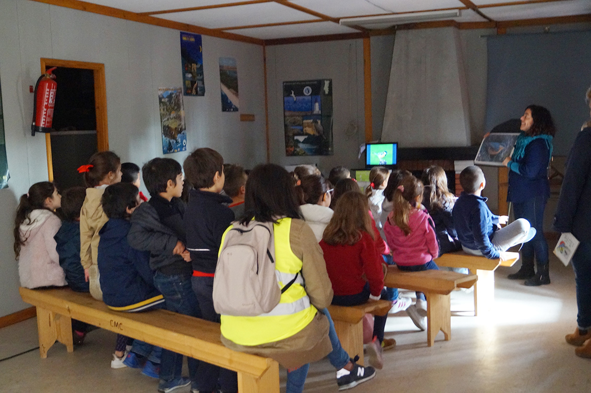 Environmental education: birds and the regeneration of the montado