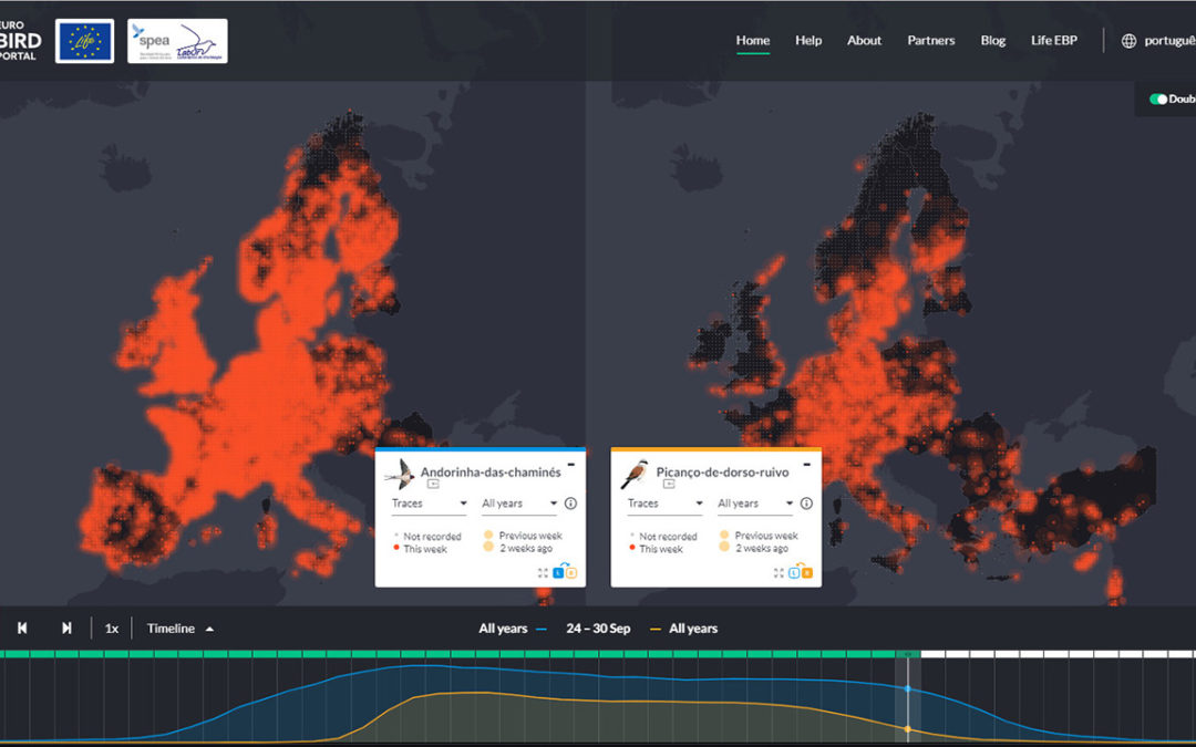 EuroBirdPortal releases new improved version of its online viewer