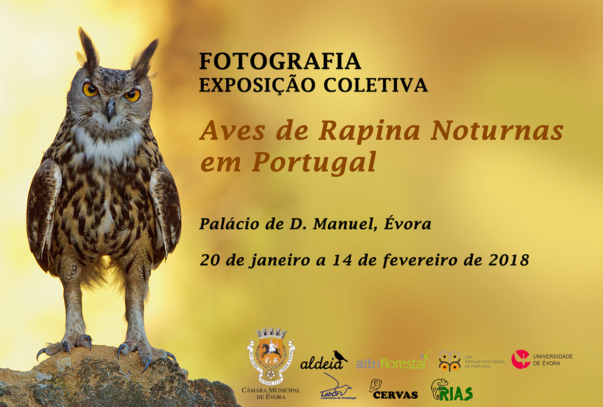 Exposição de fotografia “As aves de rapina nocturnas em Portugal”