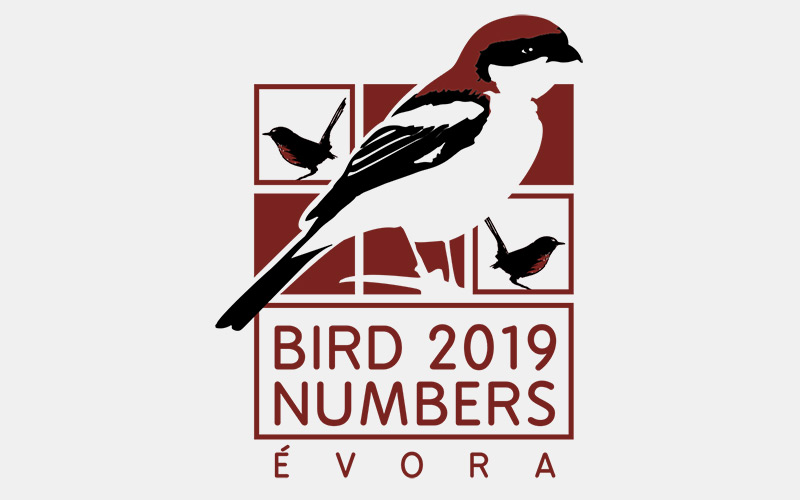 EBCC Conference Bird Numbers 2019
