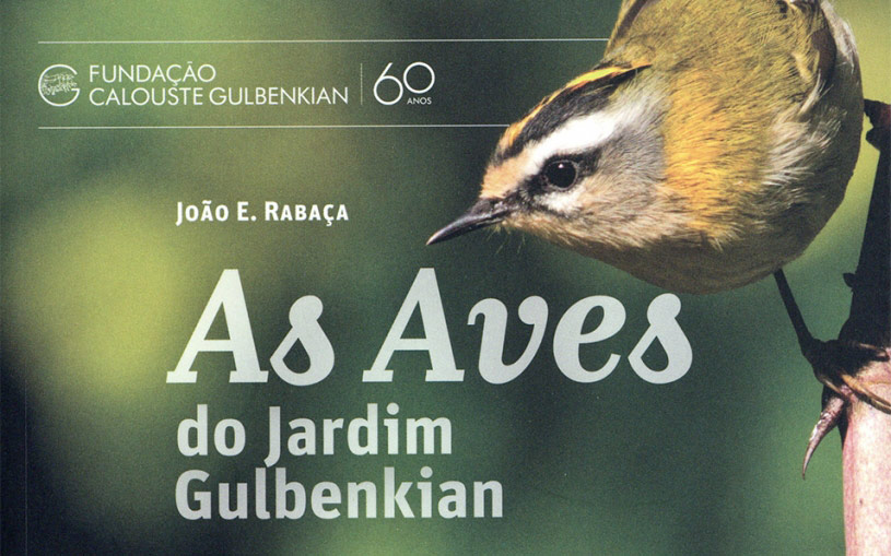 As aves do Jardim Gulbenkian